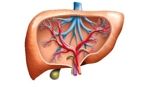 公里, 肝功能异常, 这种疼痛在