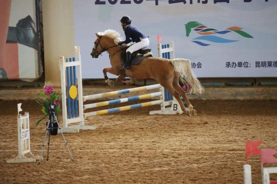 IYAA, PzuOC, 盛装舞步竞